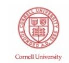 Universidad de Cornell