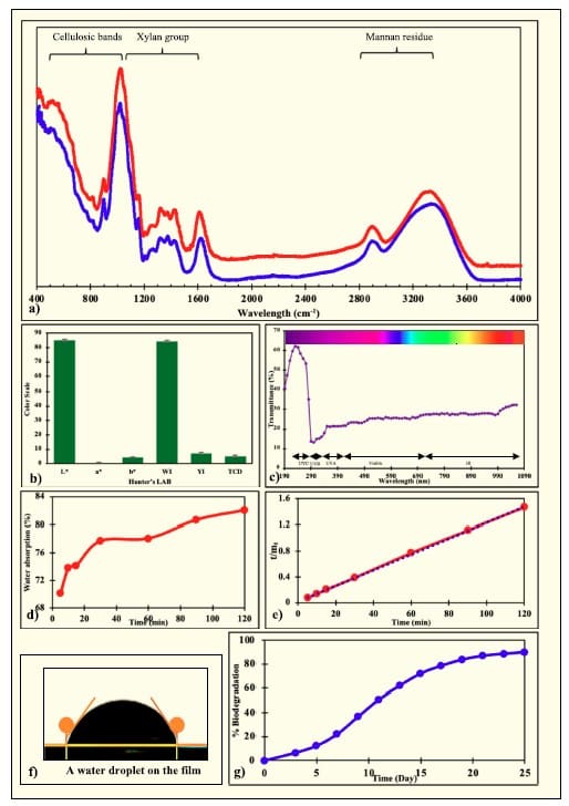 What it shows